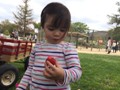 11264013_10153845990997662_4022989060959674960_n[1]